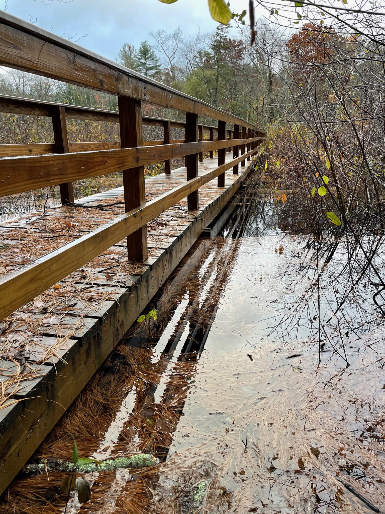 Projects Town of Walpole, MA Trails